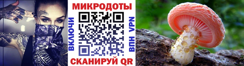 Галлюциногенные грибы Cubensis  Купить где  Можга 
